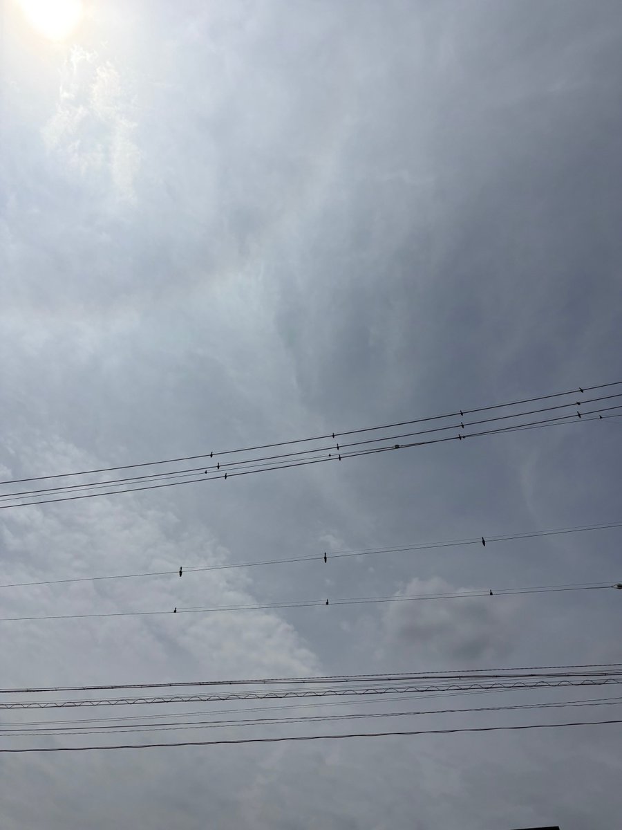 AS___planning's tweet photo. おはようございます🌞
エースプランニングです！
＃上田市　は晴れです！
昨日はお休みを頂き、友達と🌮作り！
とてもおいしく作れました！

そして畑のジャガイモ🥔が花咲いてきました！
色々な種類のジャガイモを植えたので楽しみです！
それではよろしくお願い致します🥰

＃企業公式相互フォロー https://t.co/8gDsygbLsE