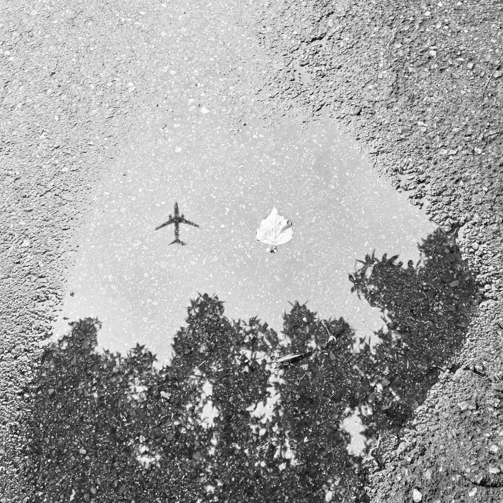 MaxFagin's tweet photo. Aerodyamics and fluid mechanics.
Aerospace and civil engineering.
Optics and botany. https://t.co/kcf7WYA0QH