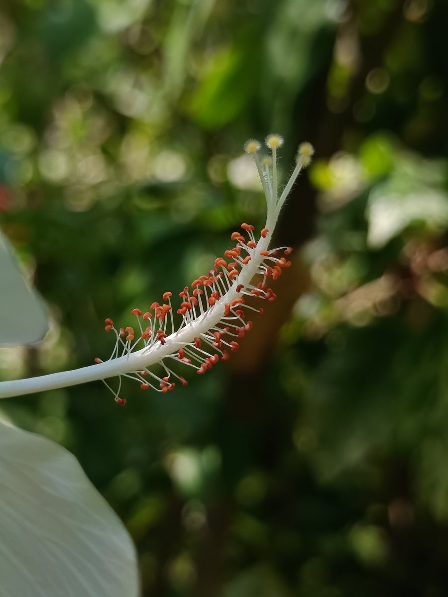 Nilesh Raichura 🦋 tweet media