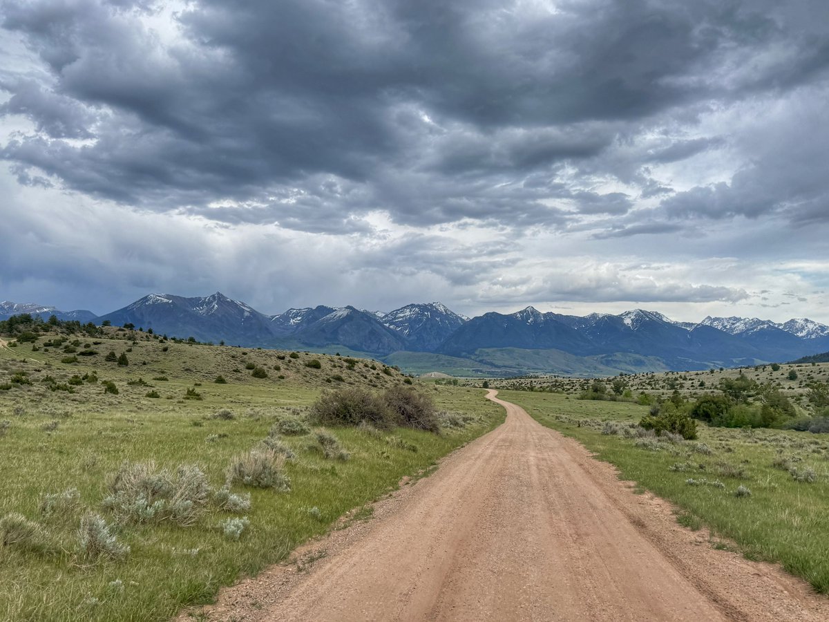 bisontattooguy's tweet photo. Today’s dirt road view from my corner of Montana. https://t.co/spNeq2IJjK