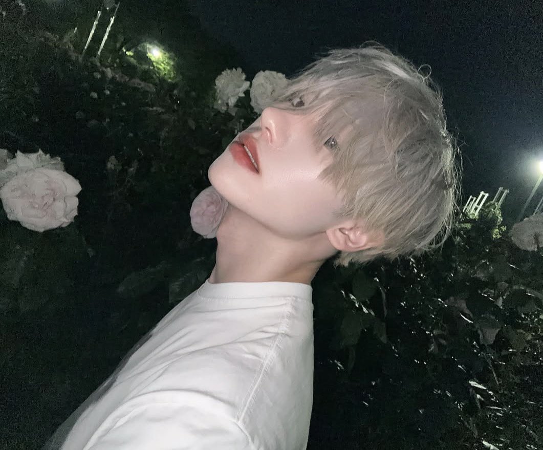 ginnan_bo2's tweet photo. 次の髪色きまった https://t.co/Cs76IzokUr