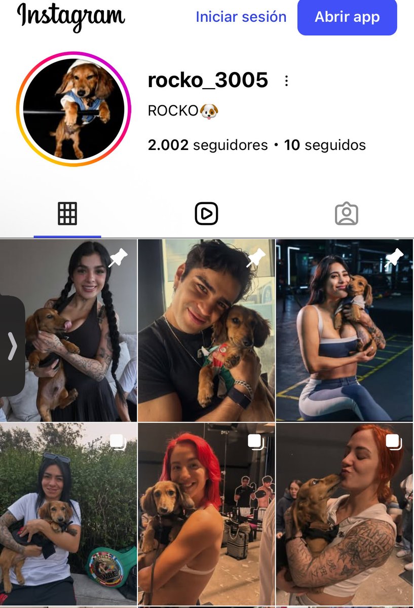 Ximena tweet media