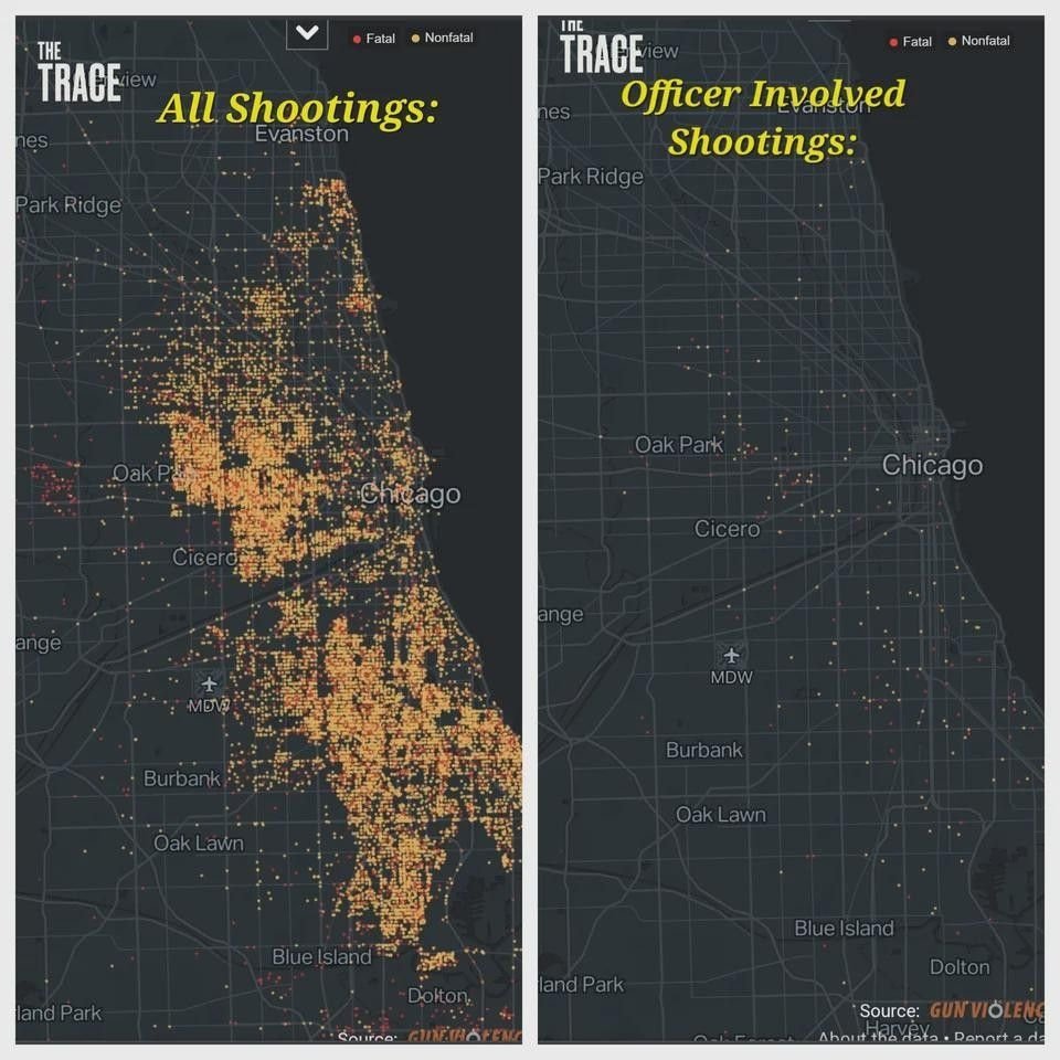Timothy Bird tweet media