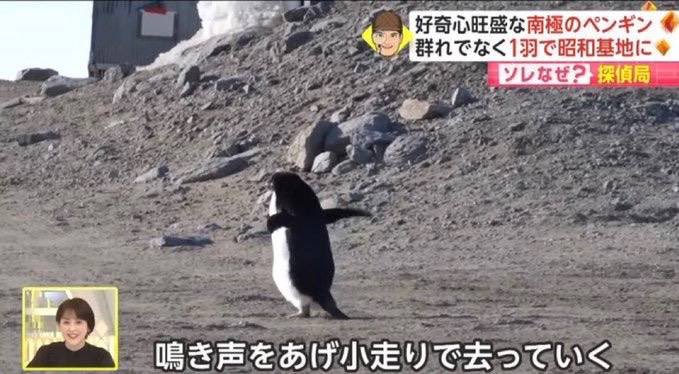 からっぽ tweet media