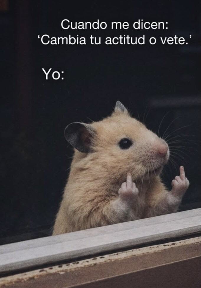 Orozco R tweet media