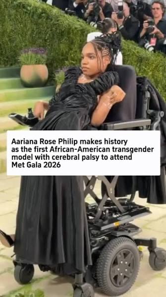 AlekHidell tweet media