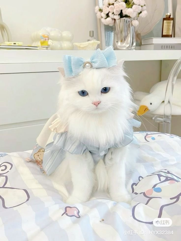 m🧃 tweet media
