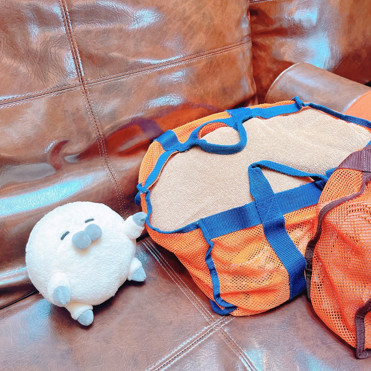 のらざらし (@norazarashi) / Posts / X