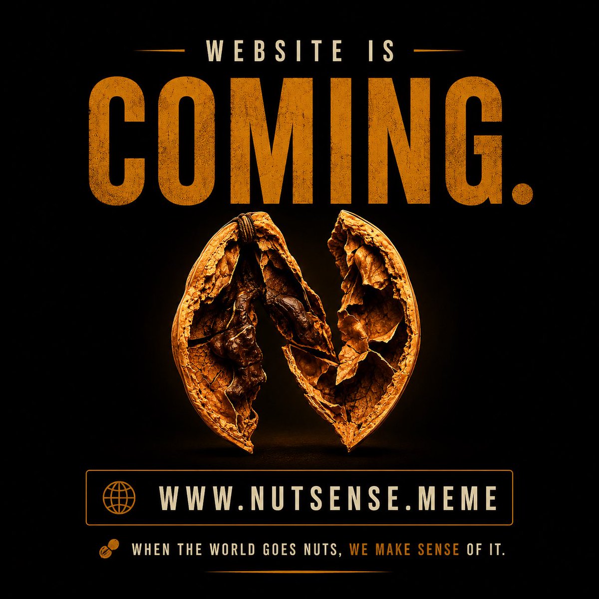 NUTSENSE tweet media