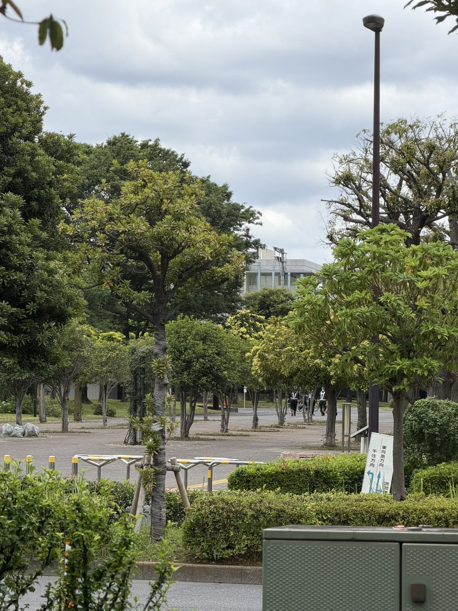 问回社 tweet media