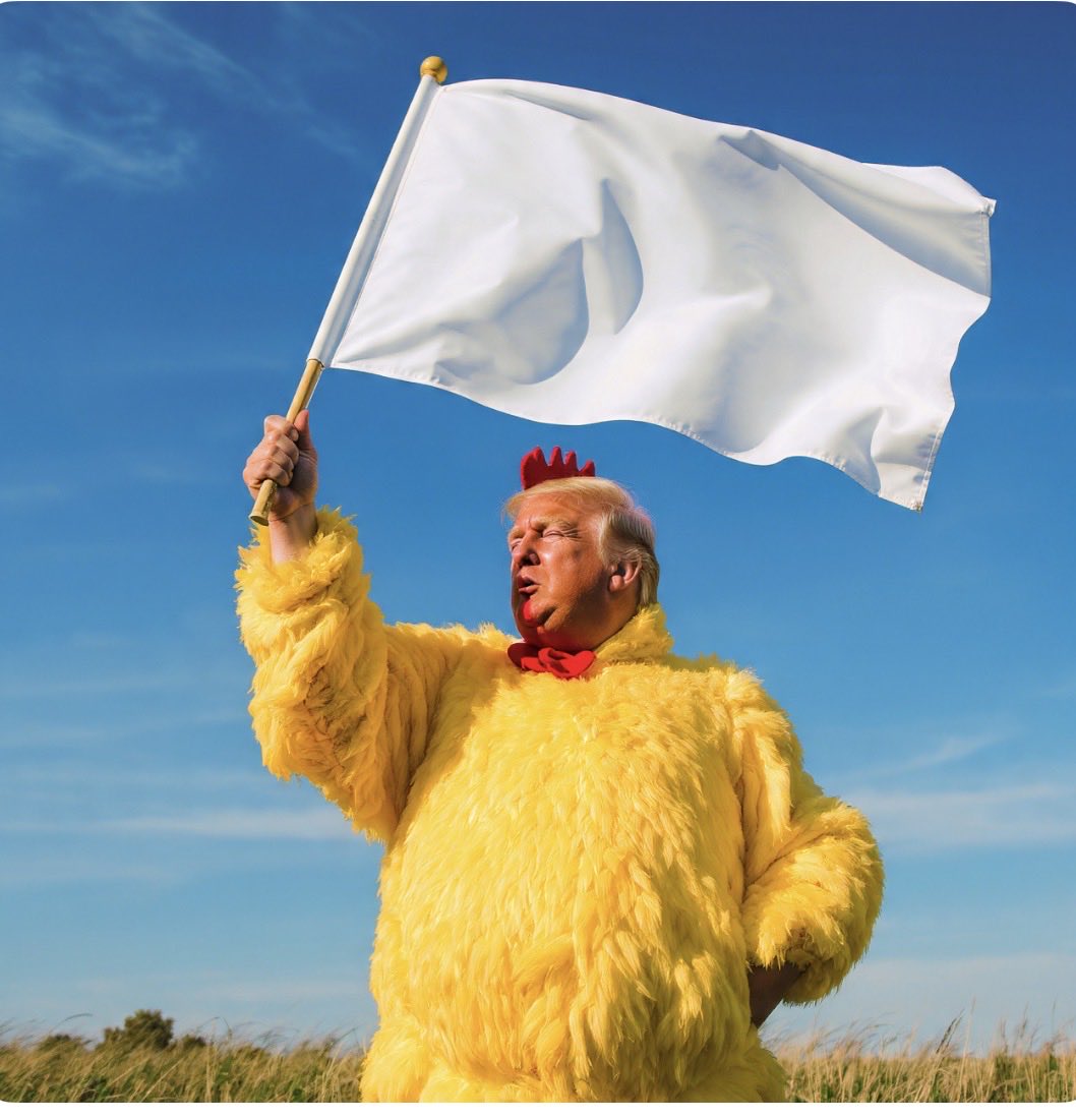 NeverTrumper tweet media