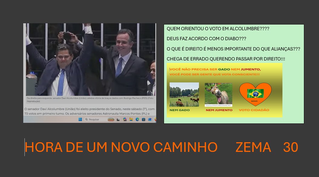 Inês Camargo tweet media