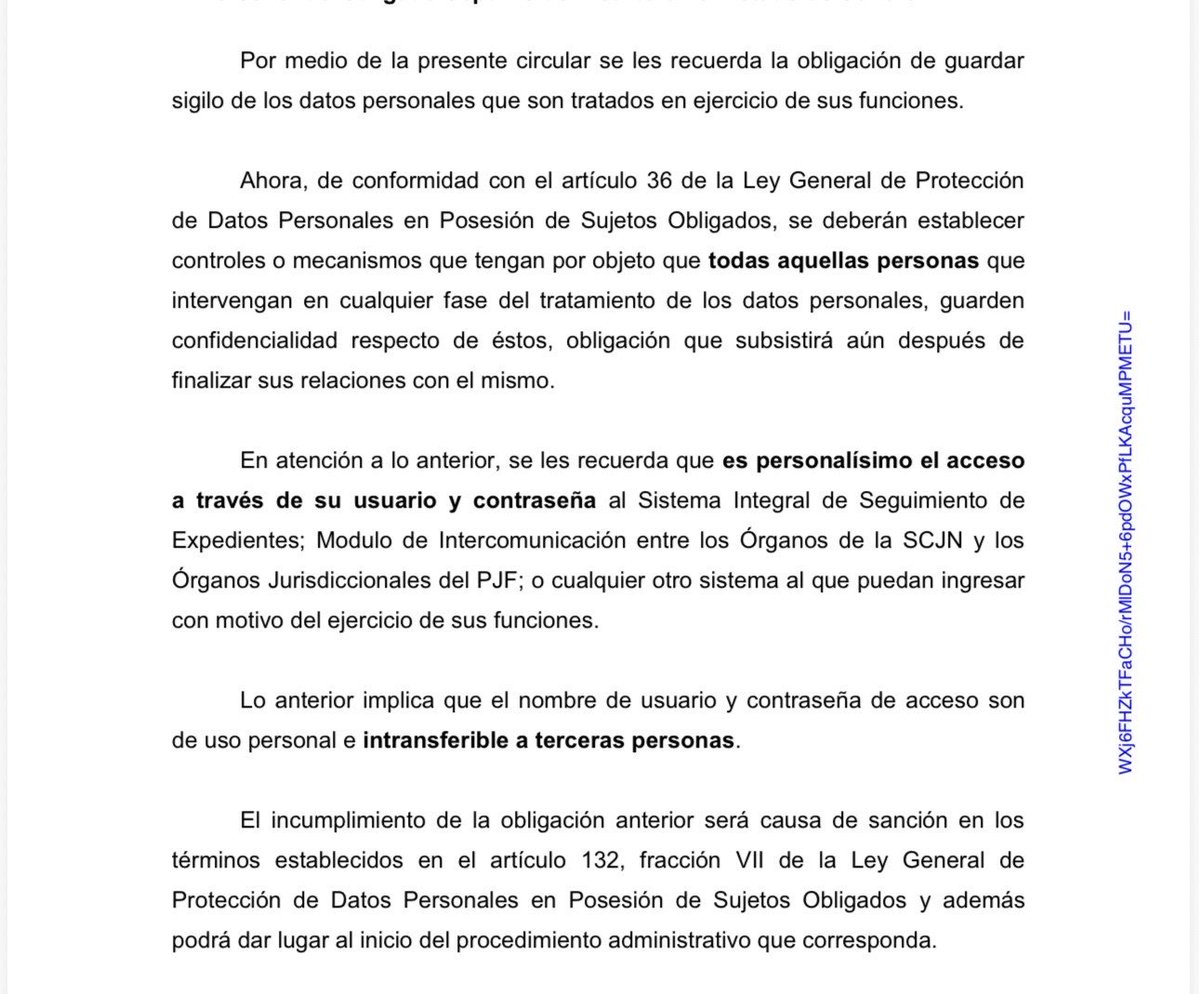 Yazmín Murillo tweet media