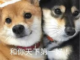 比特小师妹|KiKi tweet media