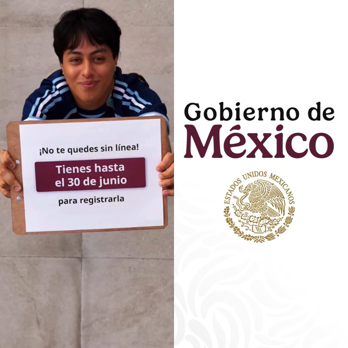 Cerebros tweet media