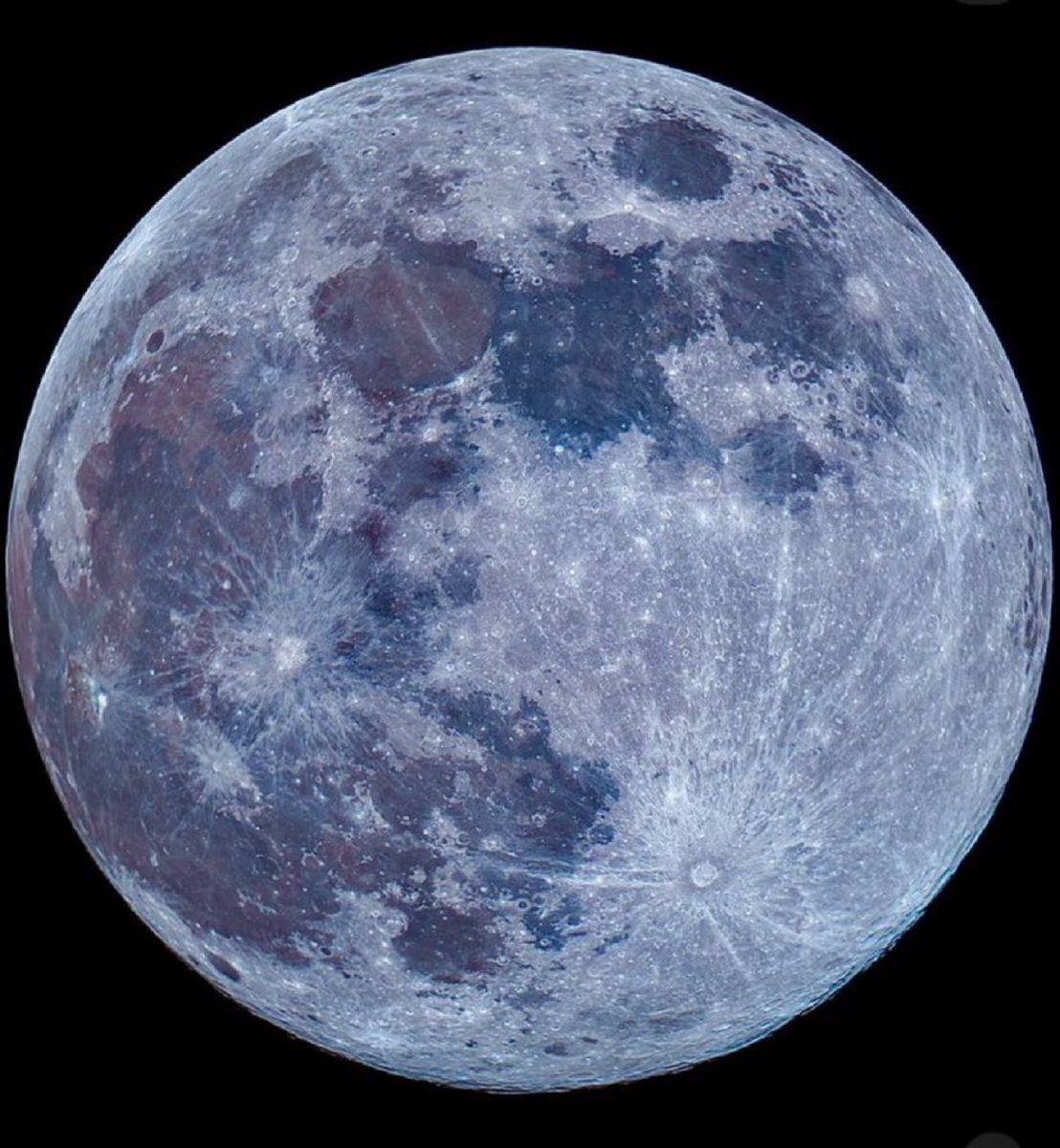 MOON LOVER tweet media