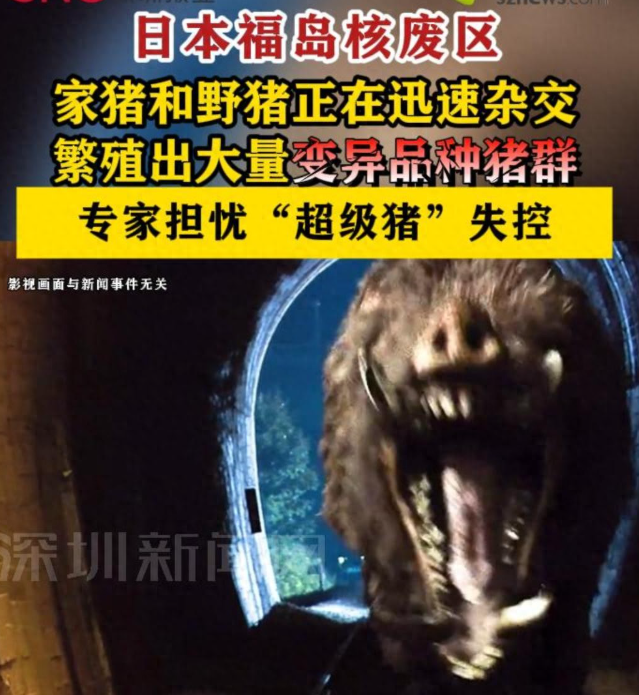 HubbardTra29412's tweet photo. 日本福岛核废区野猪变成“超级猪”
史上首个变异meme，已登陆头条热榜！

准备进入异世界，现在是从动物开始
https://t.co/NUsVjCAHUg https://t.co/Vu6NvpfoUr