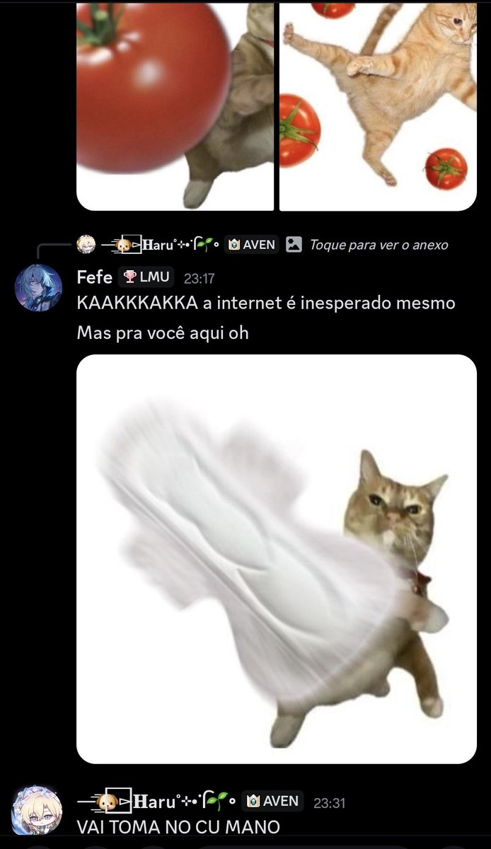 Helloabr1's tweet photo. Cara eu fui mostra os memes do gatinho desviando do tomate que ta famoso pro meu amigo né, e eu estou na tpm

A desgraça do meu amigo: https://t.co/PCbqVO8CCs