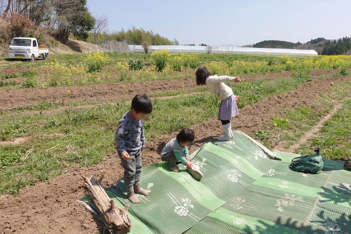 きびと月の畑 tweet media