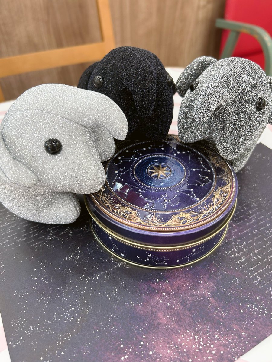 domdom_chibune's tweet photo. 本日販売開始です！

どむぞうくんの仲間が新しく増えました🐘

お写真が上手く撮れなくて…可愛さ伝わってますか？💦

レジ前でお店番してますので、実際に見てお気に入りの子をゲットして下さい♥️

 #ドムドム千船駅店 https://t.co/HIb8OMZDcI