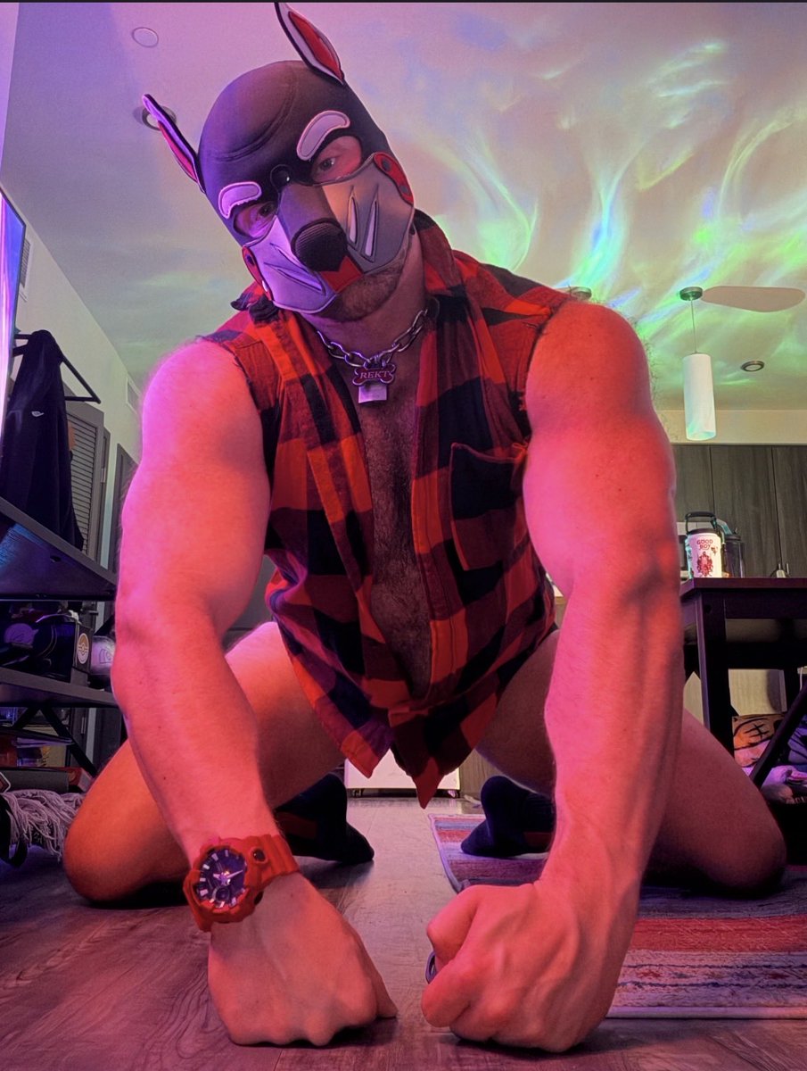 Pup Rekt tweet media