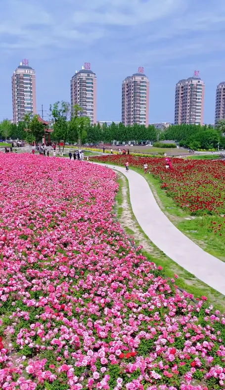 Weifang Moments tweet media