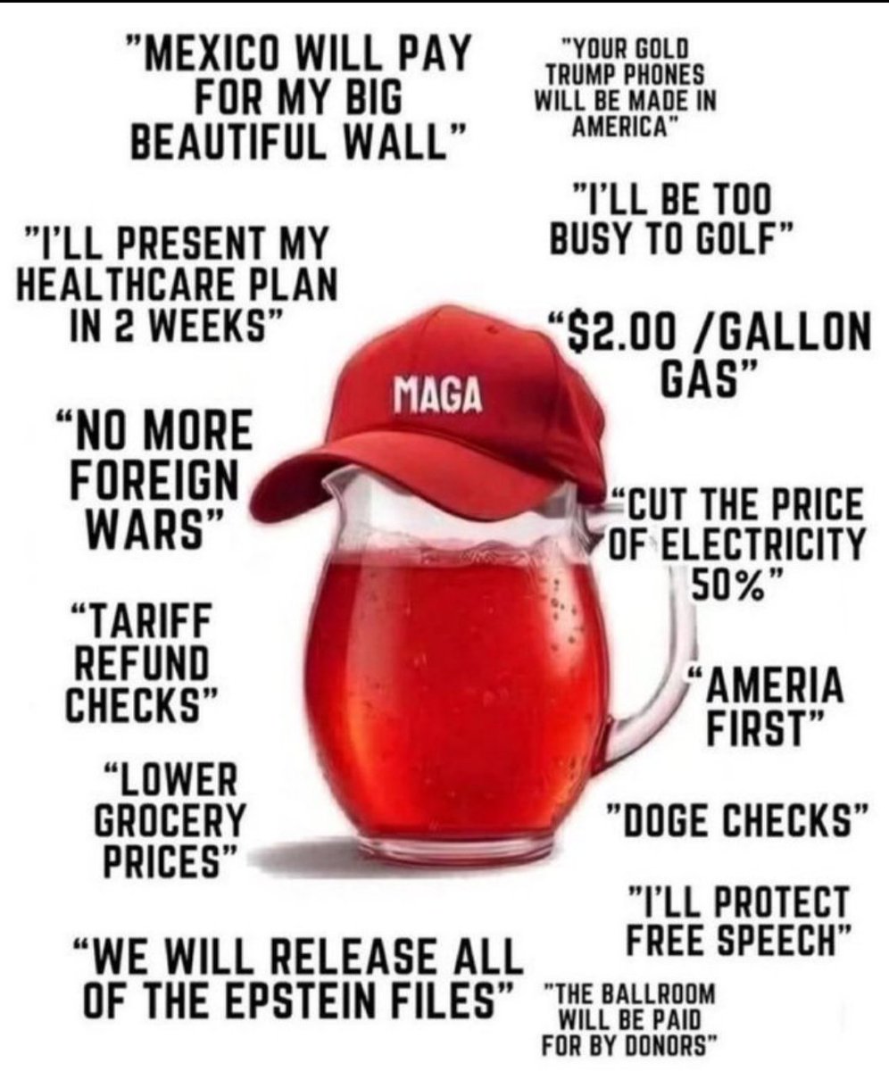 LGP🦚☮️ tweet media