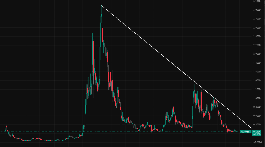 Hailey LUNC XRP tweet media