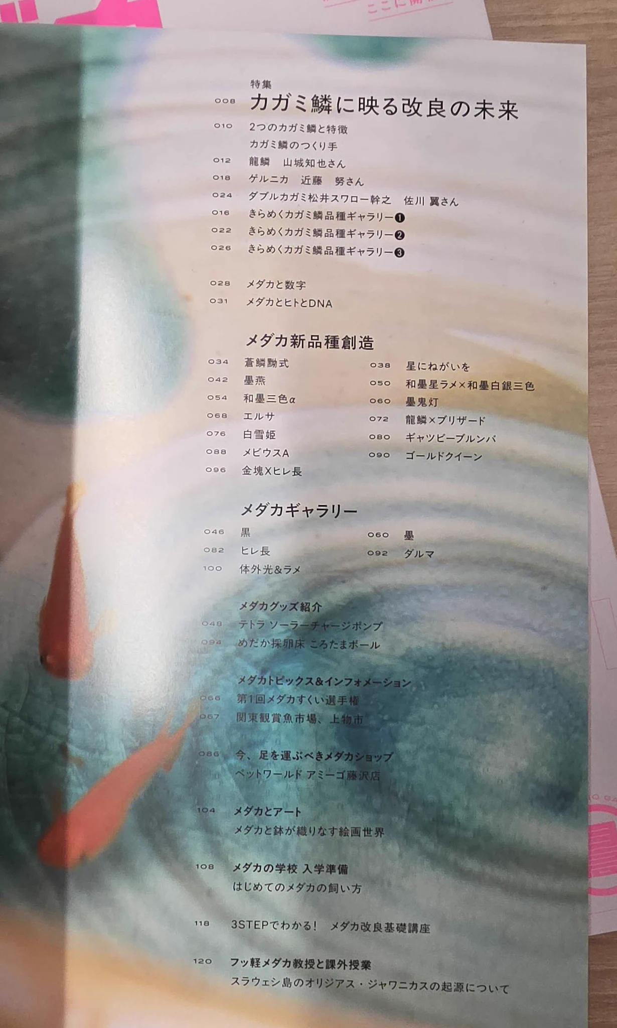 ホビージャパン編集部 on X: 