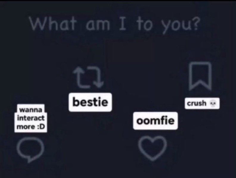 nova 𑣲˚꩜。 tweet media