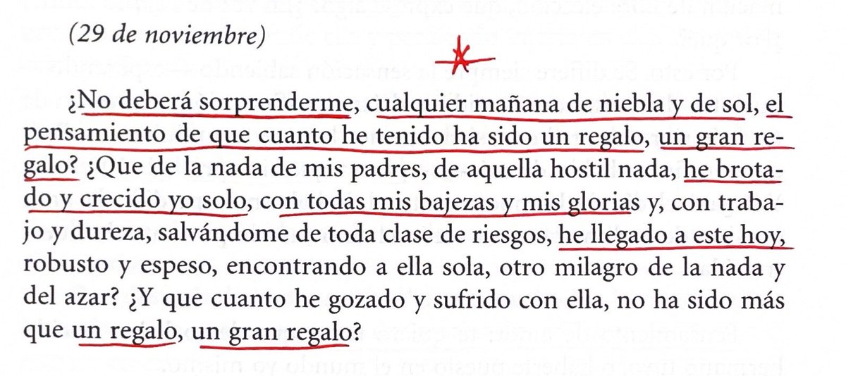 camila mermet tweet media