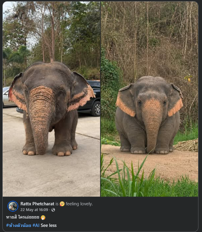 PiKaJOe_'s tweet photo. ช้างสายพันธุ์ ใหม่หรอครับ 🤣🤣 https://t.co/LSC3V0Y5Jr