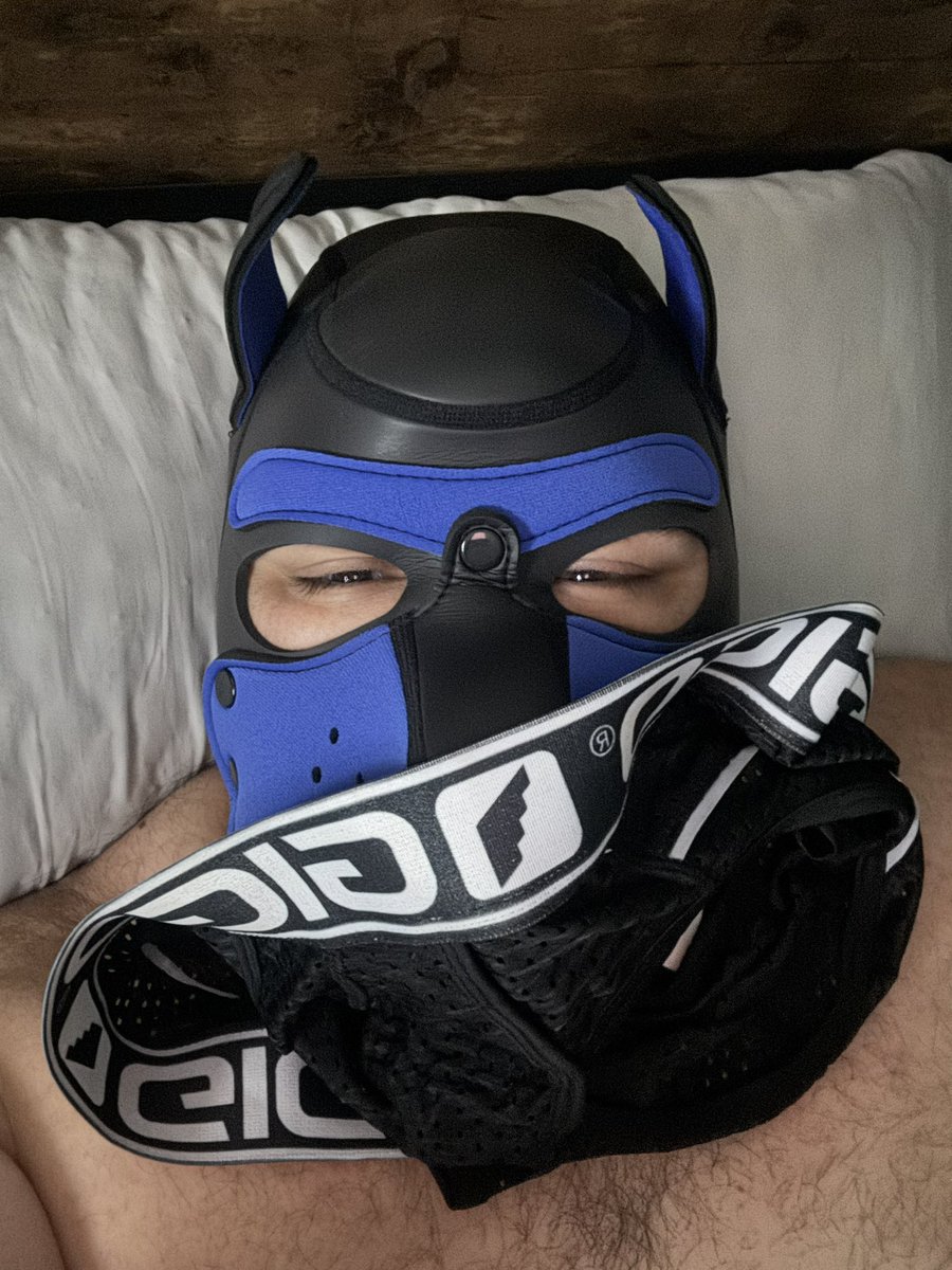 pup_indig0's tweet photo. These undies from @Undiesjizz smell so good, even after the international shipping and days I’ve been sniffing them. 🐶 https://t.co/Ab4rJVMHH1