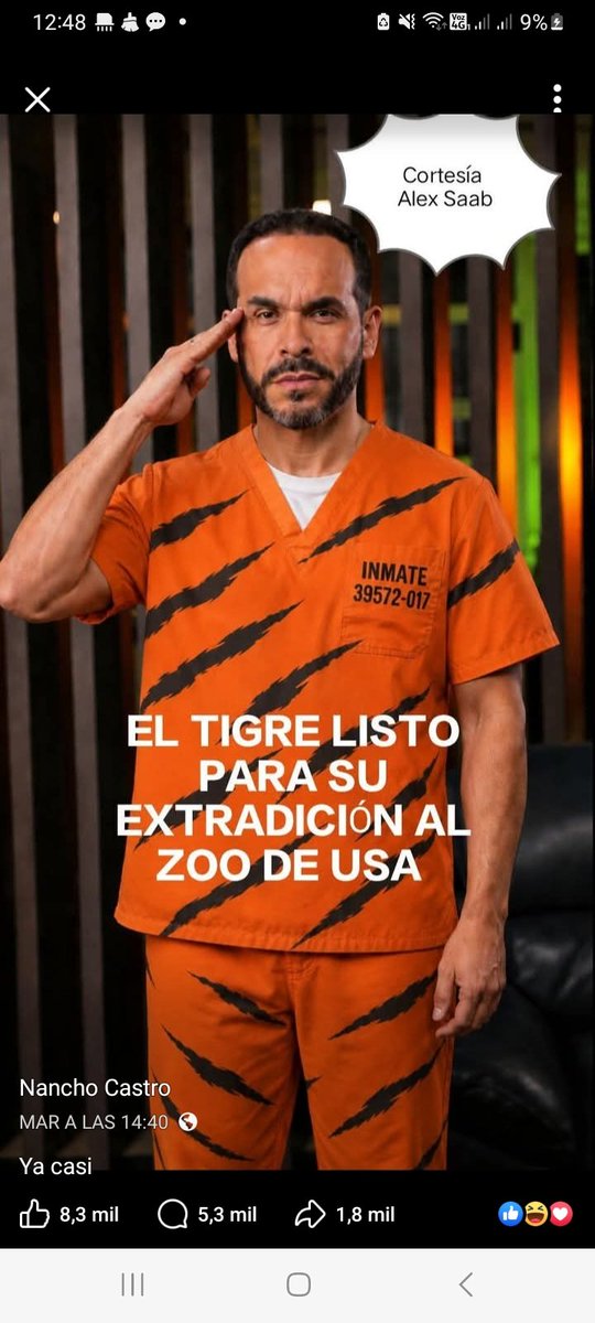 .Palestina.. libre... tweet media