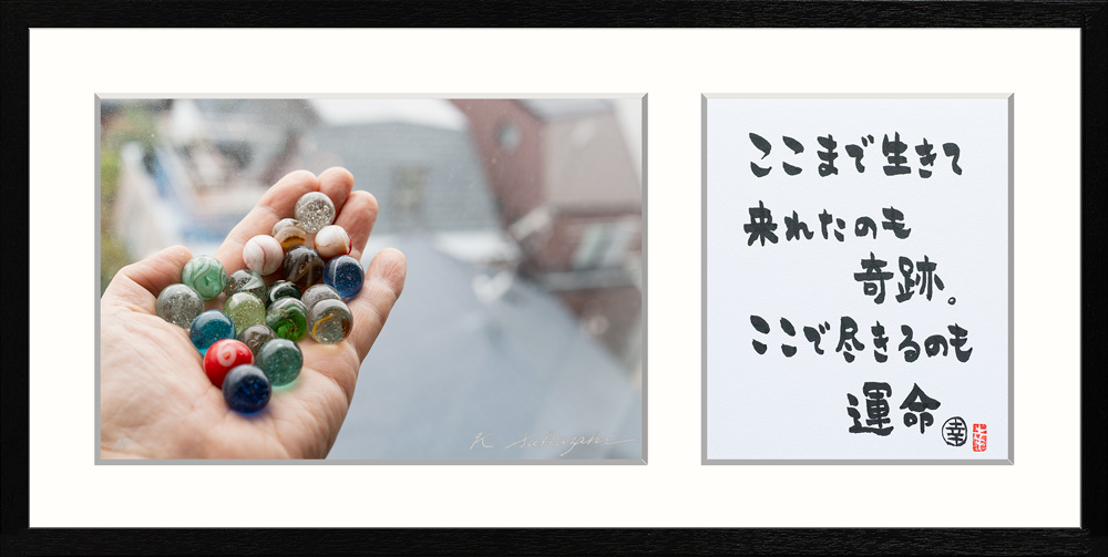 ◇坂崎幸之助 書写真展『愛でる視線』オンラインギャラリー◇ 坂崎さん