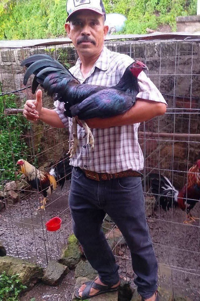 javier 🤠 tweet media