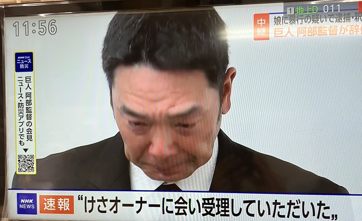 sachi🇵🇸🐻改憲は戦争の入口🪖 永田町の野良犬 tweet media