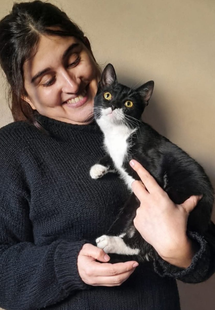 Fundación De Gatitos tweet media
