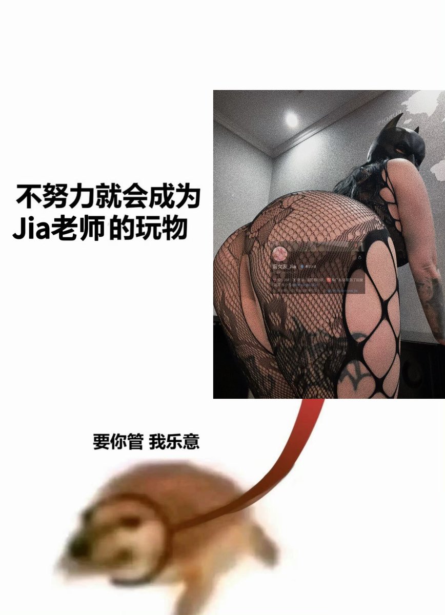 前女友_Jia tweet media