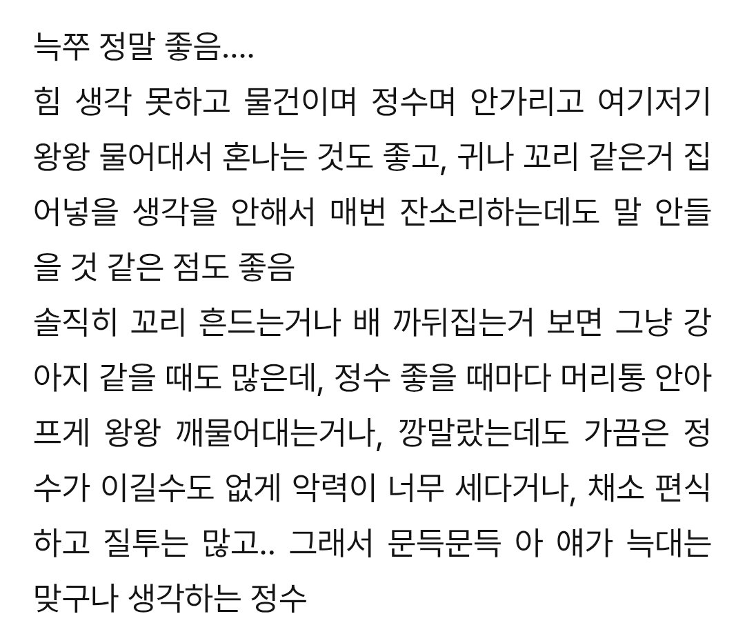 디지 tweet media