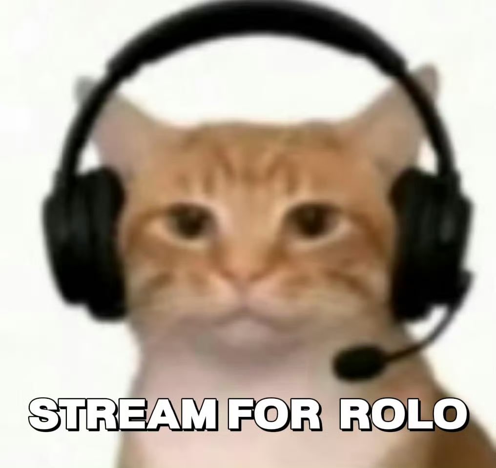 🐾 ROLO tweet media