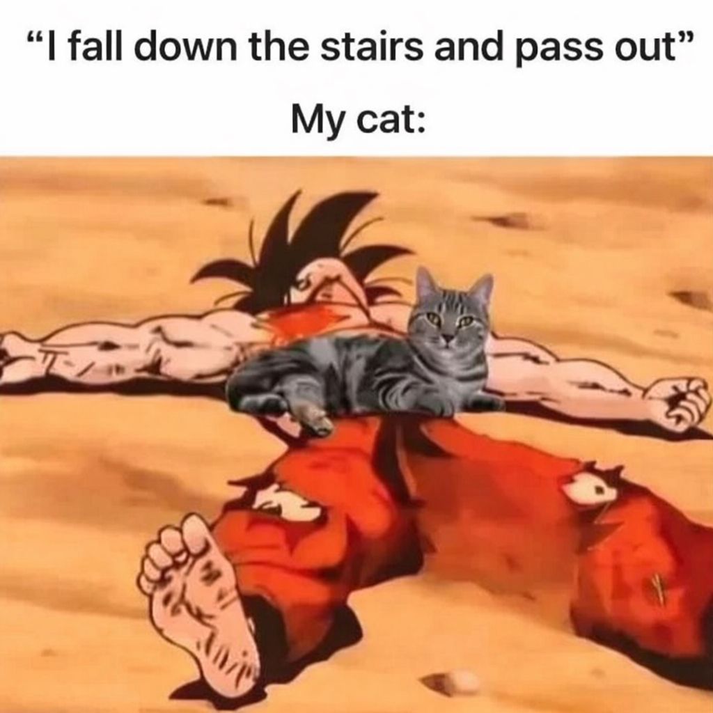 Dragon Ball Daily tweet media