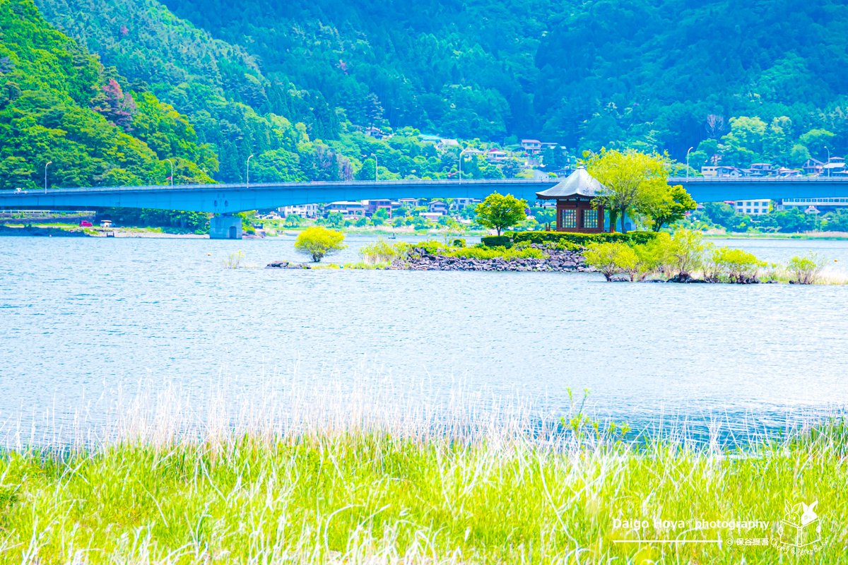 _leaf390_'s tweet photo. 河口湖の水位が下がって六角堂まで歩いて渡れるみたいなのでメイと行ってきました。
4枚目は通常の水位の時ですね(˶' ᵕ ' ˶)⸝

📌 六角堂①
📖 #メイの旅の雑記帳
🏷 #りんごっ子  #みりめーとる_どーる https://t.co/1Inyb4NJF0