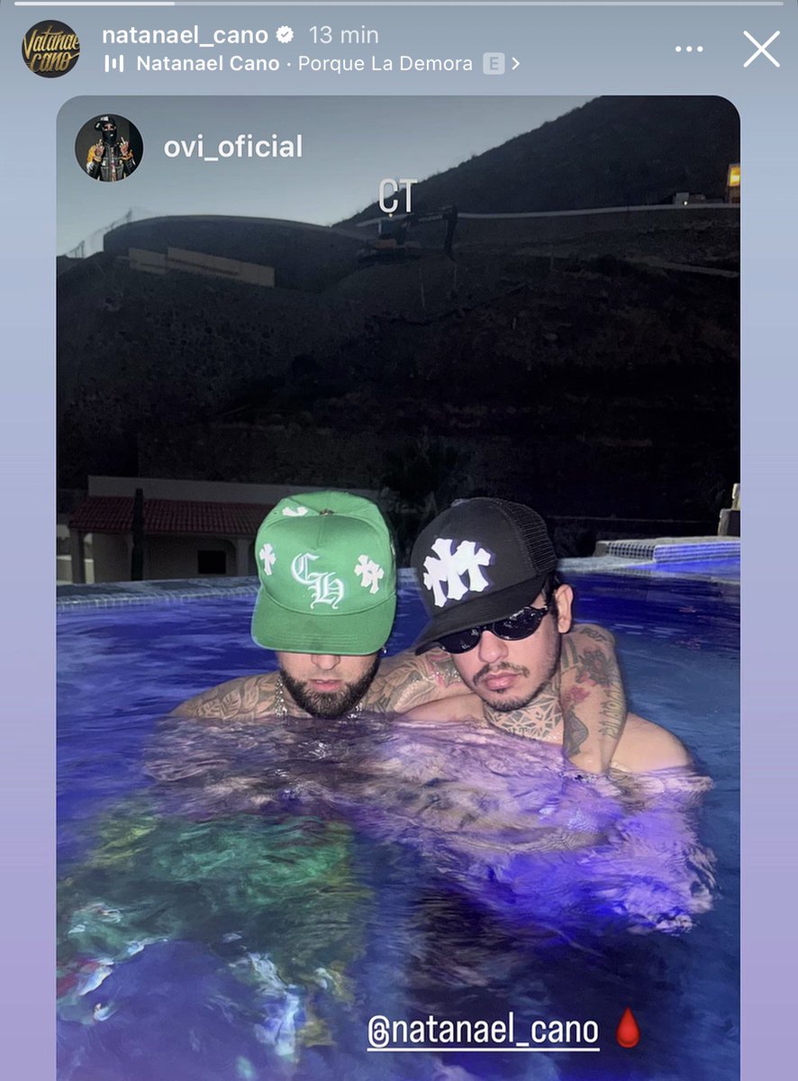 Don Nata // PQLD 🦍 tweet media