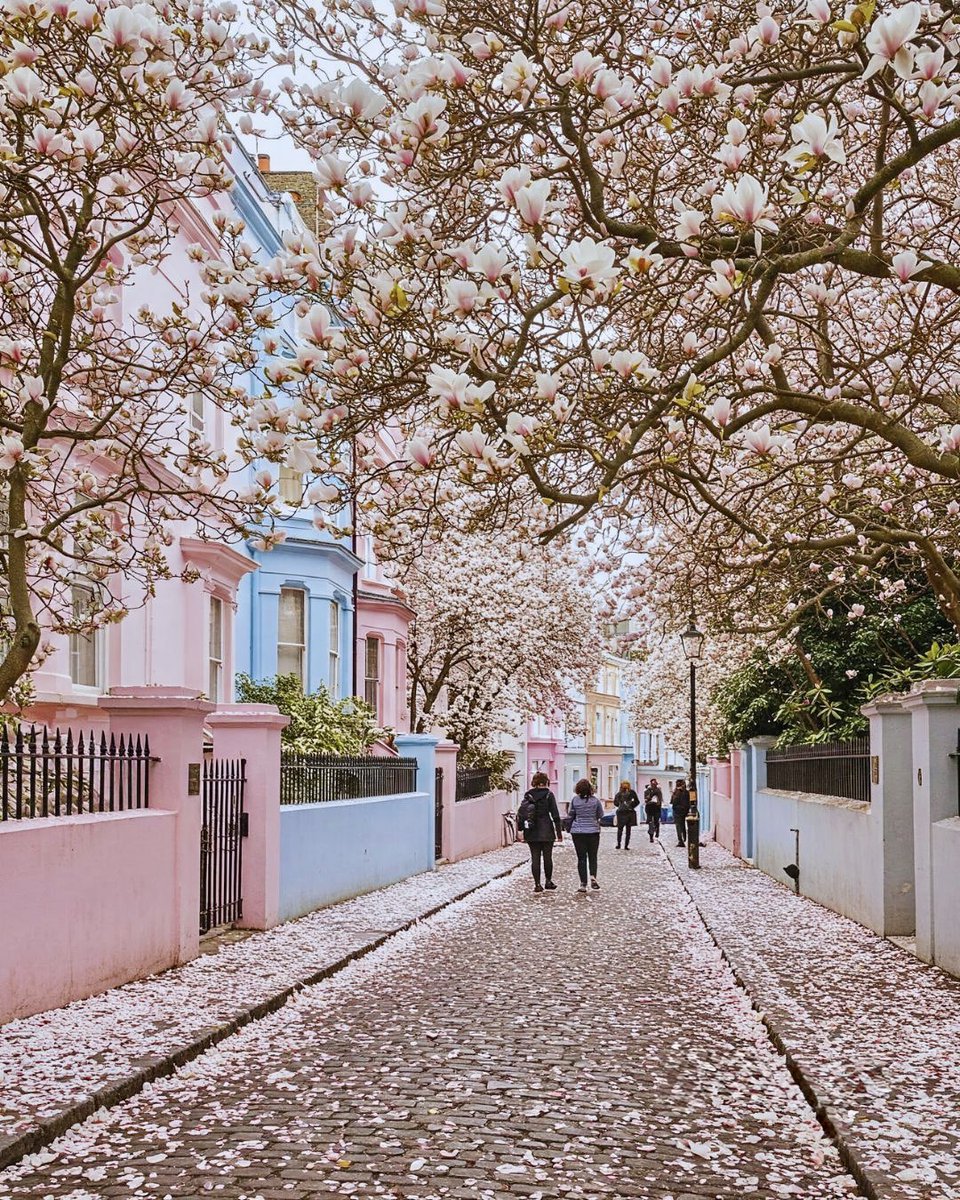 h e l e n a ☃️🌸🍁 tweet media