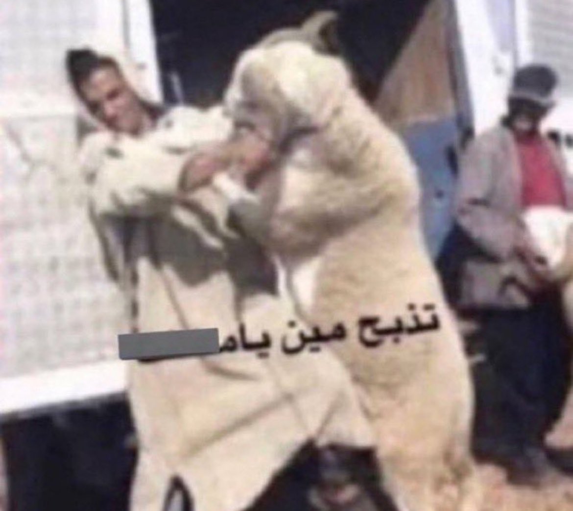 #SlotOut | 🇮🇶رياض tweet media