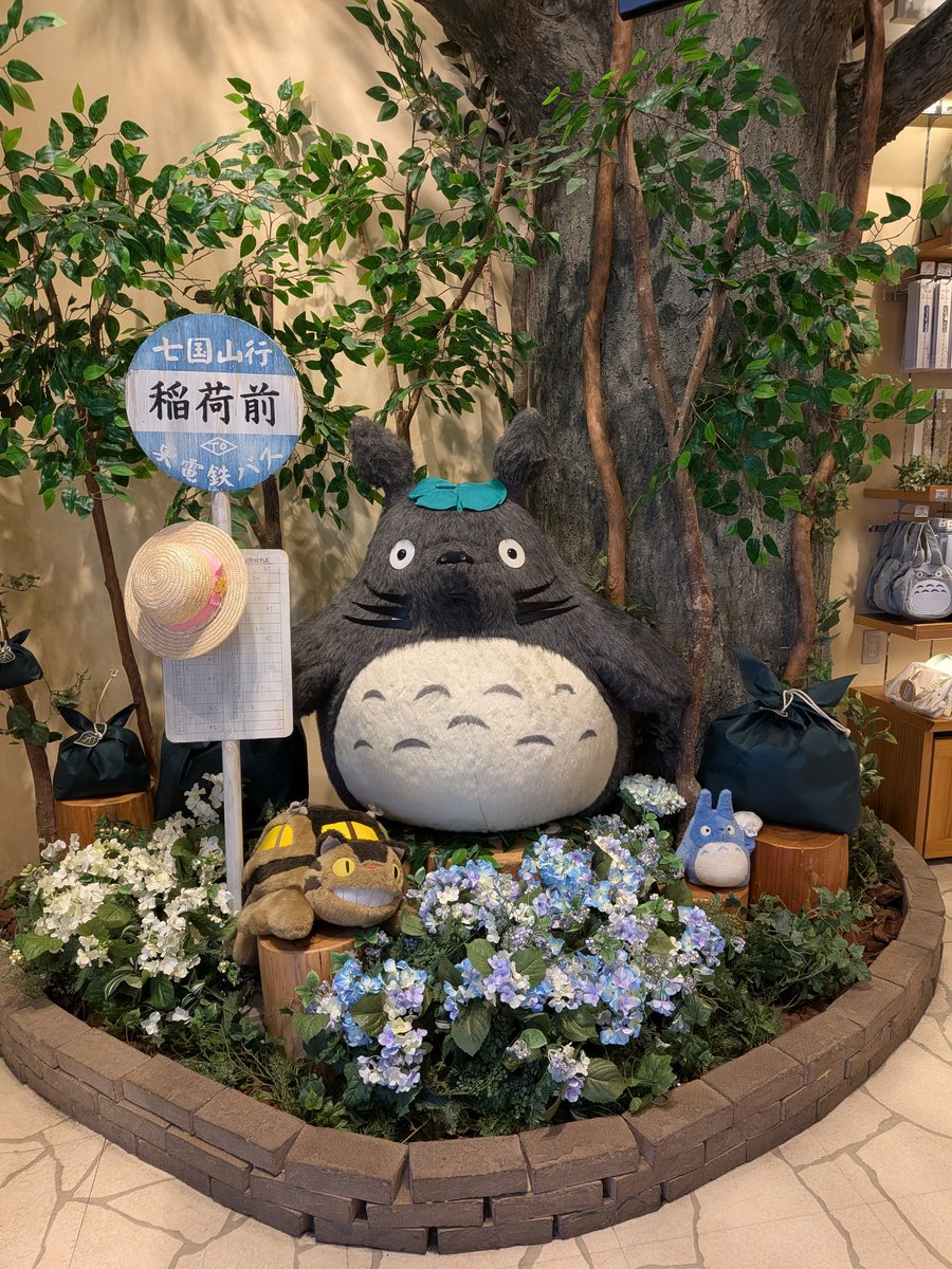 isonotter tweet picture