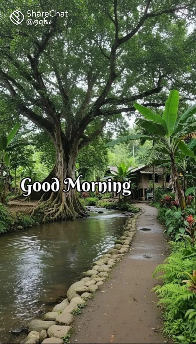 பொ.க.பிரேம்நாத்💜🦋😍❤️🍫 tweet media