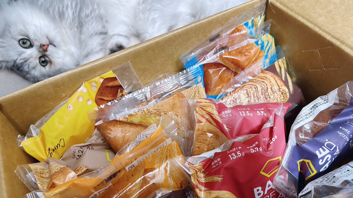 甘乃あもこ💛🌈🥖🌟 (@amoko_official) / Posts / X