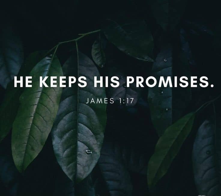 Aw73136607's tweet photo. Good morning, Saints.  Heavenly Father bless us with peace knowing that you don't change. Have a beautiful,day🕊🕊🕊️ https://t.co/0WJEMXlnbV